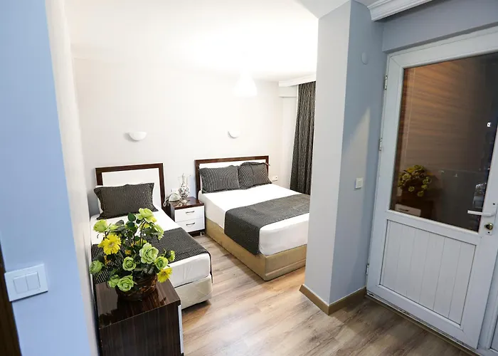 Hotel Papillonada